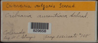 Image Associated With the Occurence
